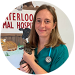 Dr-Steph
